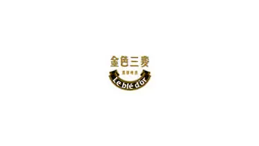 金色三麥案例封面